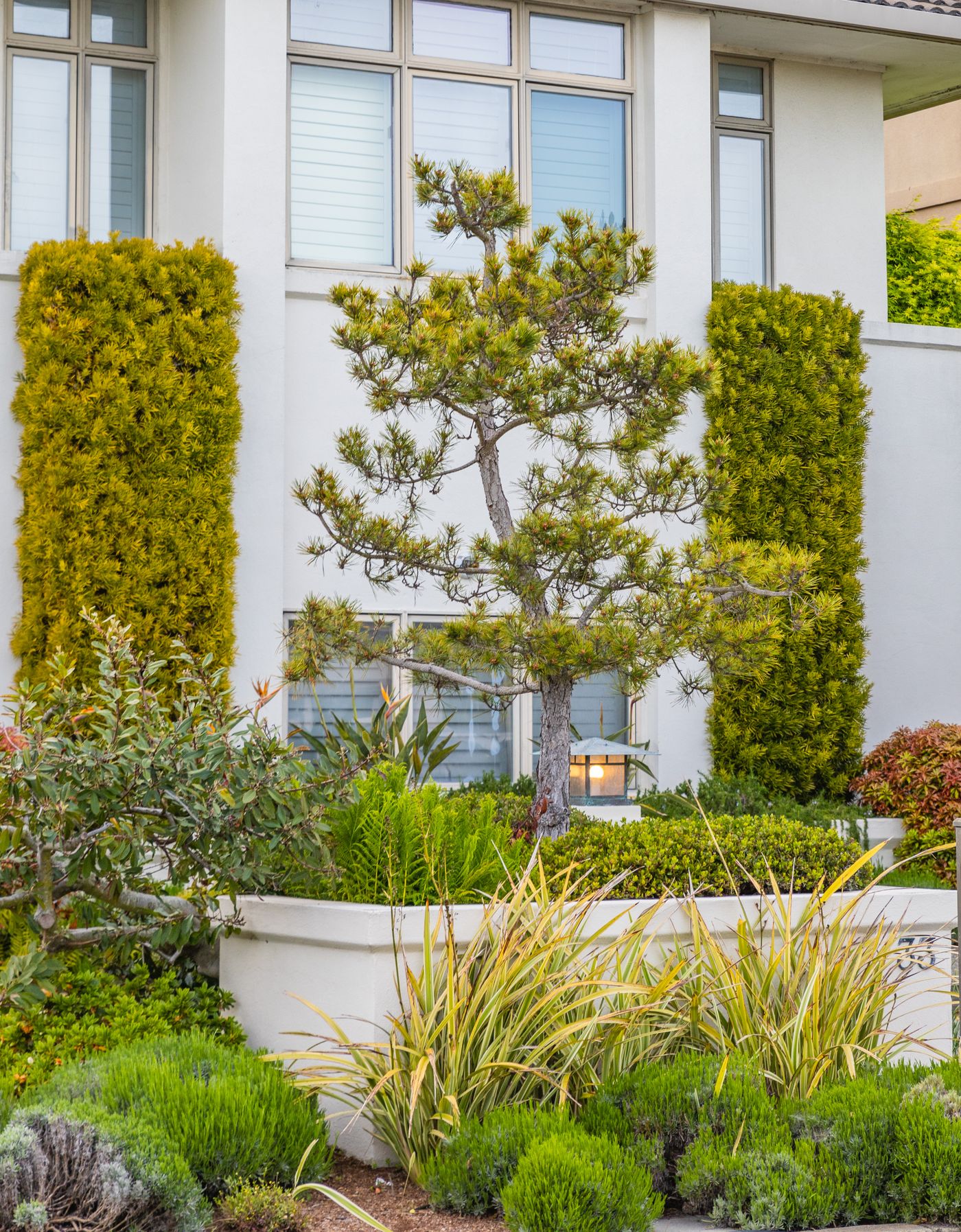 Terrasse et jardin — Californie